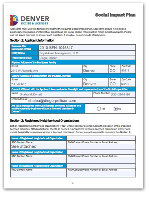 diego pellicer social impact plan document