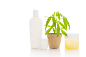 Hemp cosmetics. Moisturizer, cream, shampoo, oil and young cannabis plant in plant pot isolated on white background. Healthy natural ecological cosmetics.