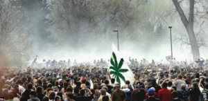 420 festival in denver