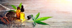 Origins of CBD Unveiled